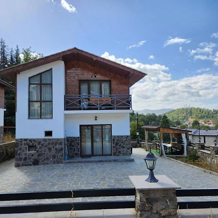 Villa In Mountains บาคูเรียนี ภายนอก รูปภาพ
