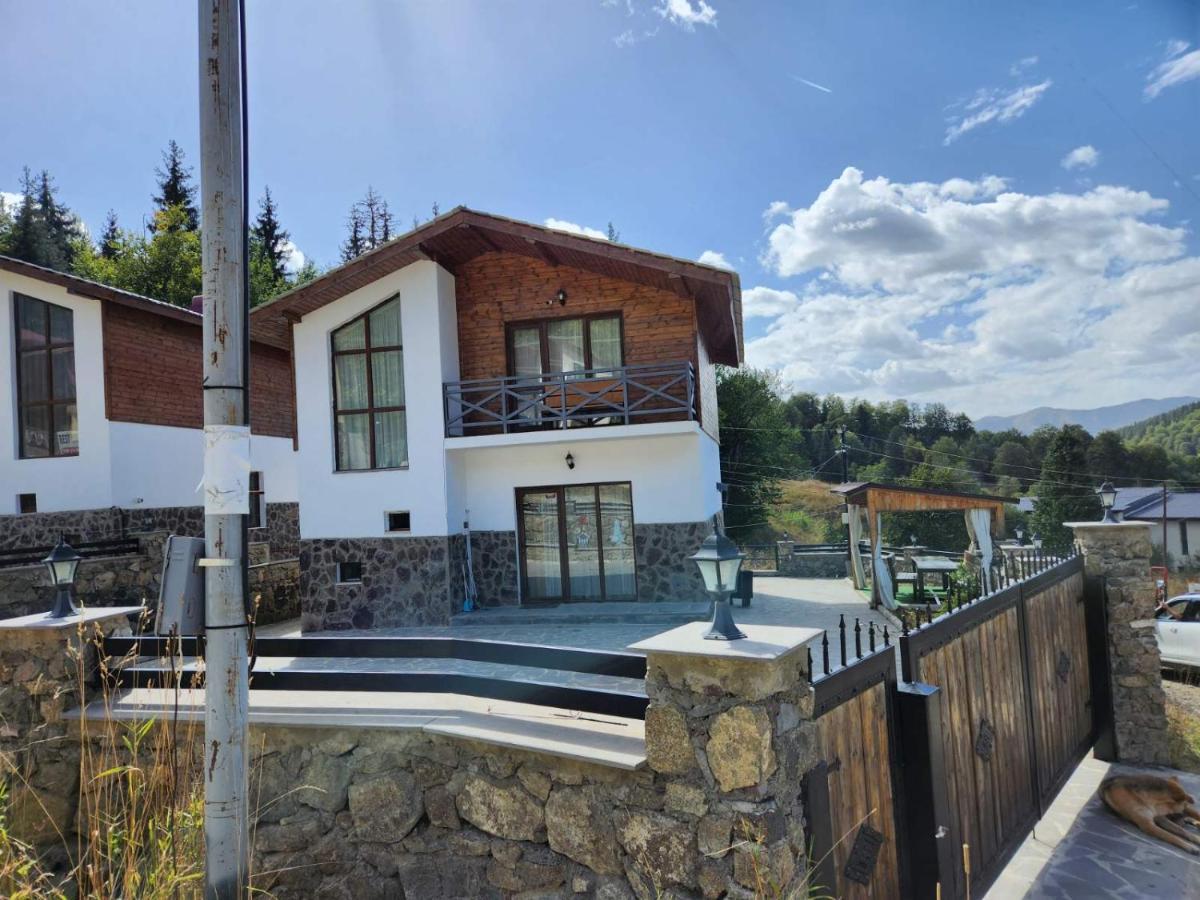 Villa In Mountains บาคูเรียนี ภายนอก รูปภาพ