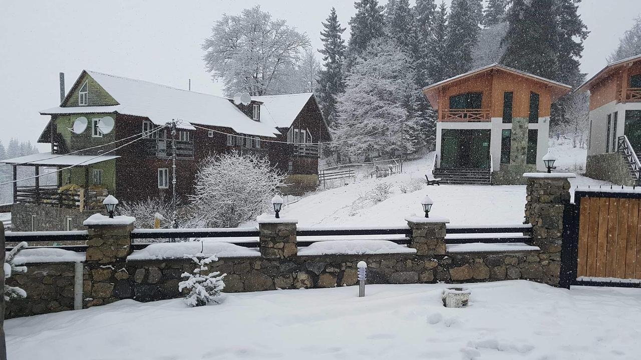 Villa In Mountains บาคูเรียนี ภายนอก รูปภาพ