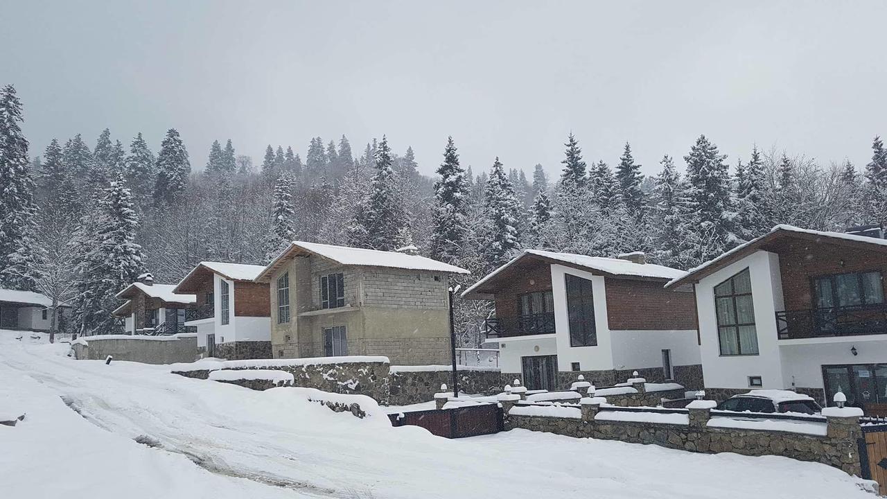 Villa In Mountains บาคูเรียนี ภายนอก รูปภาพ