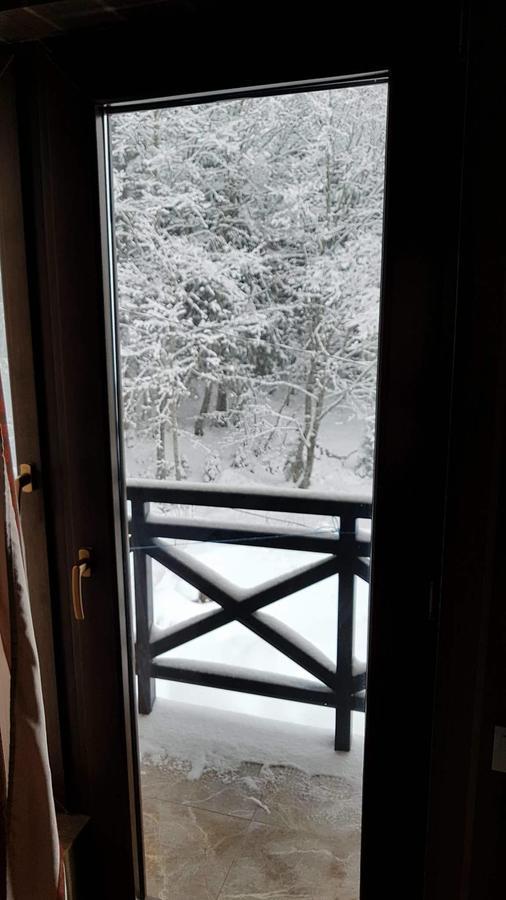 Villa In Mountains บาคูเรียนี ภายนอก รูปภาพ