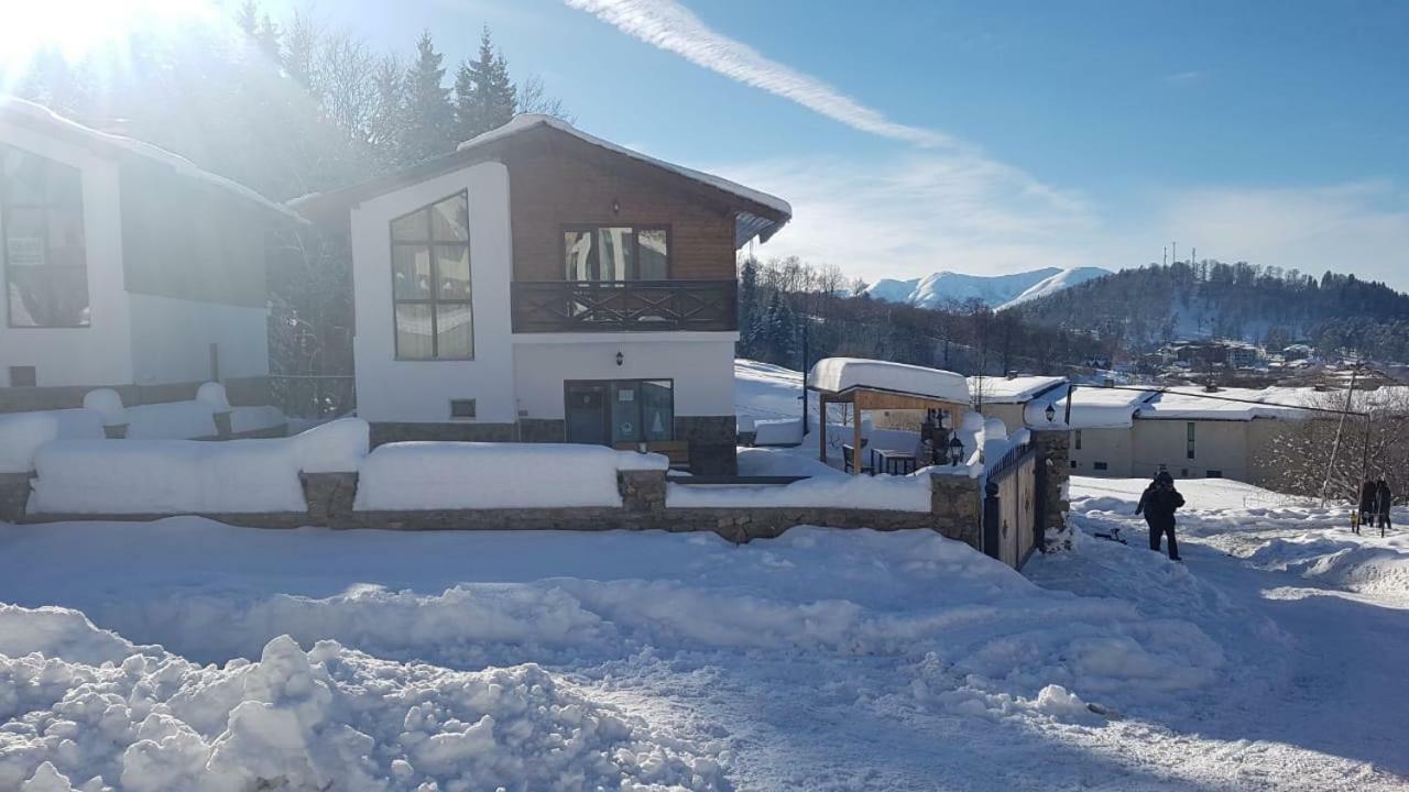 Villa In Mountains บาคูเรียนี ภายนอก รูปภาพ